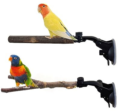 2 Pièces Oiseau Perche Naturel Bois Stand avec Ventouse Jouets Parrot Perche Perchoir Perroquet Jouets Oiseaux en Bois pour Carrelage Verre et Surfaces Lisses 15cm