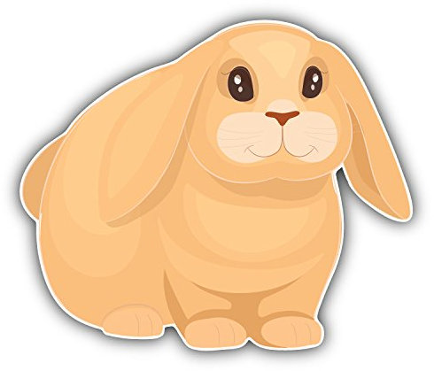 postwalldecor Mini Lop Rabbit Hochwertigen Auto-Autoaufkleber 12 x 10 cm
