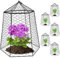 Kalolary 5 Packungen Garten Maschendraht Cloche, 13,5 T x 15,7 H Pflanzenschutz und Sbdeckung, Strapazierfähig, Keine Montage Erforderlich