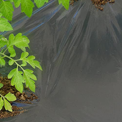 Tenax Dot Cover 1,50x20 m Schwarz, Mikroperforierte Unkrautfolie für Mulch, Ideal für Gemüse und Erdbeeren (Rolle)