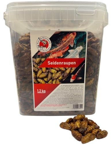 Premium Seidenraupen 1,2 kg- 5 Liter getrocknet gesunder Insektensnack für Schildkröten-Fische-Vögel-Reptilien-Nager (5 Liter)