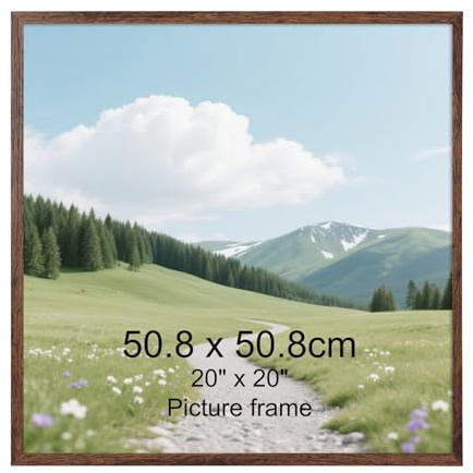 EYMPEU Bilderrahmen 50x50cm, 1 Stück, Posterrahmen für die Wand, geeignet für Büros und Wohnungen, Kaffee