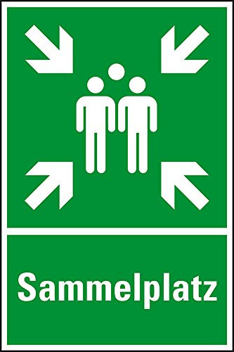 LEMAX® Rettungs-Kombischild Sammelstelle, Sammelplatz, ASR/ISO, Kunststoff, 400x600mm