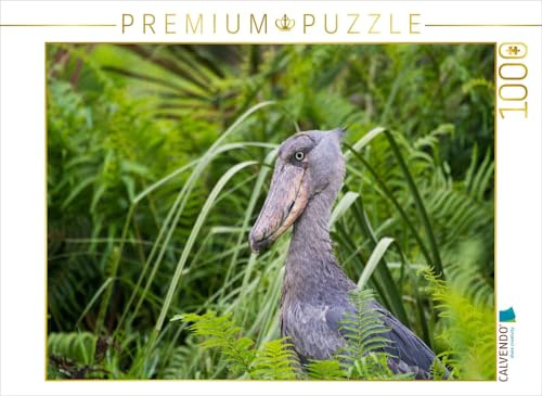 CALVENDO Puzzle Schuhschnabelvogel | 1000 Teile Lege-Größe 64 x 48 cm Foto-Puzzle für glückliche Stunden