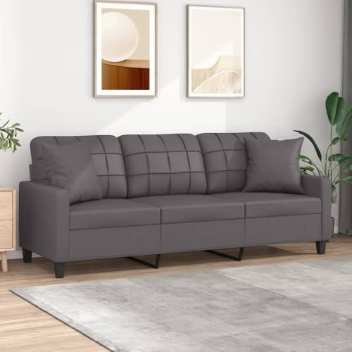 Willood 2 Sitzer Sofa mit Kissen Couch Loungesofa Sessel 180 cm Kunstleder Grau