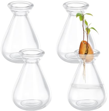 nbeads 4 Stück Avocadosamen Startervasen, Klarglas Avocado Anzuchttopf Pflanzenkeimungsvasen Für Den Anbau von Eichelsamen Kräutern Und Zwiebeln Für Zimmerpflanzen Gartenliebhaber