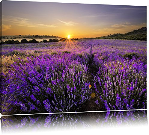 Pixxprint Lavendelfeld in Frankreich, Größe: 80x60cm, Leinwandbild, fertig gespannt, Wandbild, Dekoration, Kunstdruck, kein Poster