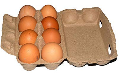 Karton Eierschachteln 8 Stück Eierschichten Eierschachteln Eierschalen zur Aufbewahrung von frischen Weiden erhöhten Eiern, biologisch abbaubar, umweltfreundlich, sicher und sicher Eierbehälter