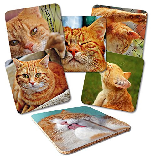 ADDIES Glas-Untersetzer 6-TLG.Set Bedruckt Katzen-Motive in hochwertiger Klarsicht-Geschenkbox und Korkrückseite, Tier-Motiv