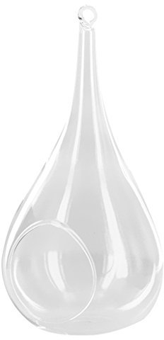 Vase Suspendu en Verre Transparent Conique pour Plantes Fleurs Décoration de Jardin Maison