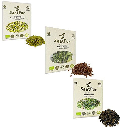 SaatPur BIO Keimsprossen Sortiment 3 BIO Sorten Fitness Mix Mischung - Mungo Mung Bohne + Daikon Rettich + Buchweizen