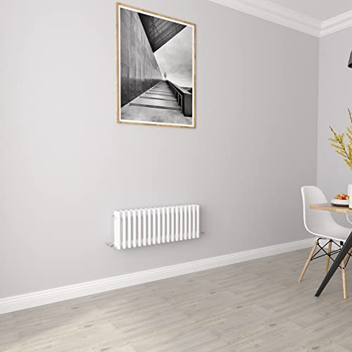 Radiatori bianchi Orizzontali 3 Colonne Rads Ghisa Stile Riscaldamento Centrale Radiatori per Bagno,Soggiorno e Cucina 300x830mm