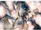 Runa Art Papier peint intissé 396 x 280 cm Abstrait Pastel - Toison Décoration Murale Salon Chambre á Coucherr - Fabrication Allemande - Bleu Rose Or 9585012a