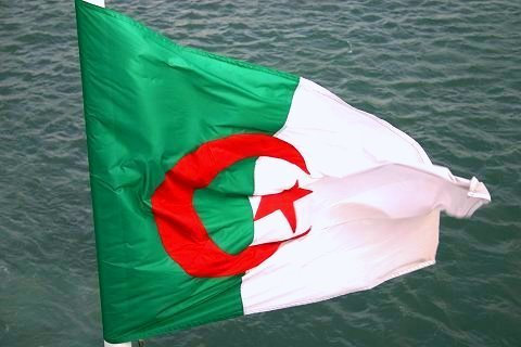 Drapeau Algérie /1,99 euros / Neuf sous emballage 145 cm x 90 cm