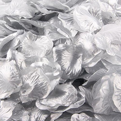 Haohon Decoración 1000 Uds Flor de Seda favorece la Boda pétalos de Plata Rosas Artificiales Fiesta decoración del Vinoteca 8 Botellas Horizontal (#02-Silver, One Size)