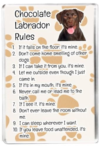 Chocolate Labrador Rules - Funny Pet Owner Quote - Dog Mum/Dad - Fridge Magnet - Novelty Gift
