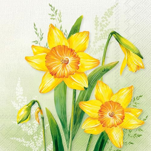 IHR 20 Servietten Frühling Große Narzissen auf hellgrün als Tischdeko. Papierservietten mit Motiv. Auch für Decoupage und Serviettentechnik 33x33cm