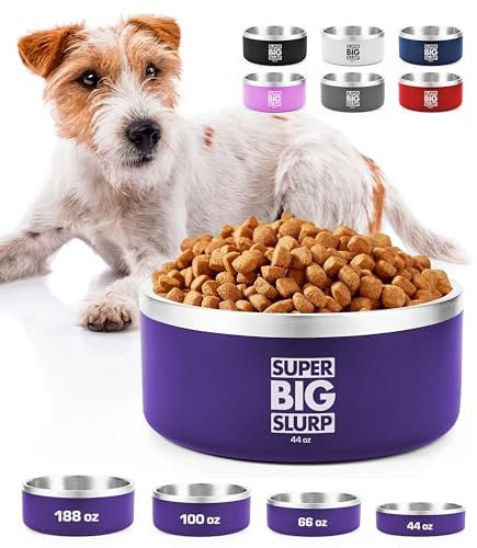 Tuff Pupper Bol isolé Robuste pour Chiens de Grande Taille, 1250 ml/44 oz | Bol de Nourriture pour Animaux en Acier Inoxydable à Double paroi | Couleurs durables avec revêtement en Poudre (Violet)