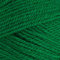 Stylecraft 9041116 Special DK Green (1116) Yarn - 100g