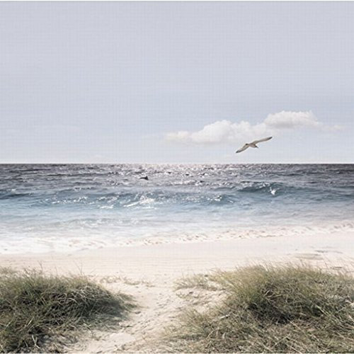 Eurographics Deco Glass DG-DT7226 Decorative Glass Picture 20 x 20 cm with Mavericks Motif