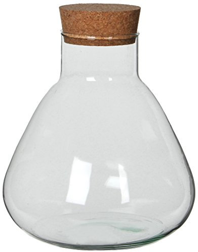 MICA Decorations Decorations Emily Terrarium oder Vorratsglas - H24,5 x Ø22.5 cm - Recyceltes Glas - Transparent, h 24,5 d 22,5 cm