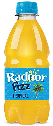 Radnor Fizz Tropical No Added Sugar Juice Drink 24x330ml