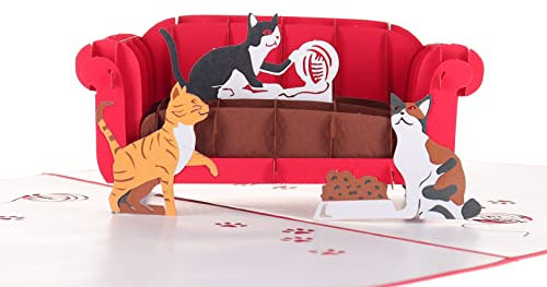 igifts und Karten Funny Katzen 3D Pop up Grußkarte – verspielt, Furry, niedliche, Pussycat, Active, Meow – flach zusammenklappbar – Geburtstag, Nur weil, Thinking of You, Vatertag, Ruhestand