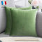 Douceur De Plumes 2er Set Grün Samt 50x50 cm Dekorativer Kissenbezug, Weicher Moderner Rechteckiger Kissenbezug, Skandinavisches Wohnzimmer Dekor Sofa Schlafzimmer Bettboden (2 Grün)