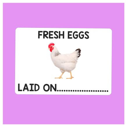 Chicken Egg Box Labels 180 Poultry Duck Personalised Carton Boxes Stickers White