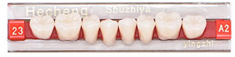 Angzhili 84 Pcs Dental Acrylic Resin Denture False Teeth 3 Sets Synthetic Polymer Resin Denture Teeth 23 Shade A2 Upper Dental Materials