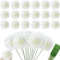 HinyoCo - Set di 30 fiori artificiali in sfera di crisantemo con steli in seta, composizione di ortensia bouquet per ufficio a casa, caffè e decorazione per matrimoni, colore: bianco