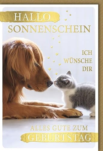 Verlag Dominique Glückwunschkarte Geburtstag allo Sonnenschein Hund und Katze - mit Umschlag