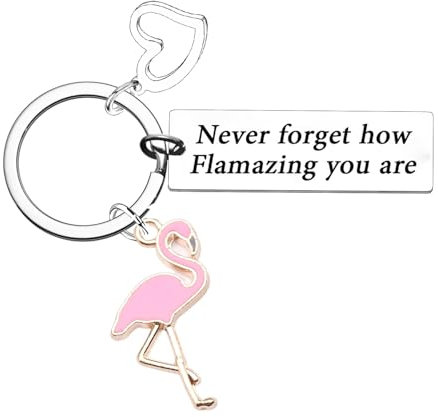 Nfyxcaz Regali di fenicottero portachiavi ispiratori regali per le donne fenicottero rosa regali di incoraggiamento per le donne rallegrare regali per gli amici, Argentato, Etichettalia unica