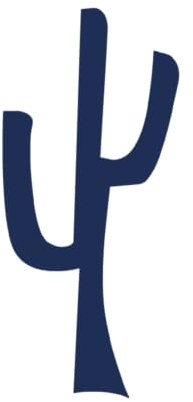 Tattwo.me – Temporäre Tattoos für Erwachsene und Kinder, hält 2 Wochen, wasserfest – Kaktus – Pflanzliche Tinte – EU-Kosmetik-Zertifikat – (P0390)