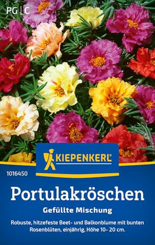 Kiepenkerl Portulakröschensamen Gefüllte Mischung 101645