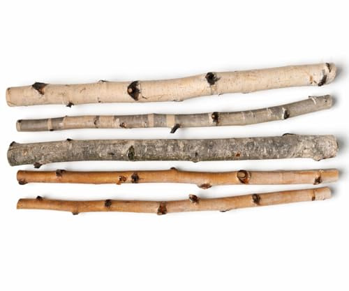 5 Stück Birkenäste 50 cm Naturholz 2–4 cm Durchmesser Birkenholz Äste Deko Holzstäbe Bastelholz DIY Tischdeko Hochzeit Herbst Winter Naturdeko handgeschnitten getrocknet