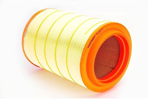 Filtron AM455/6
