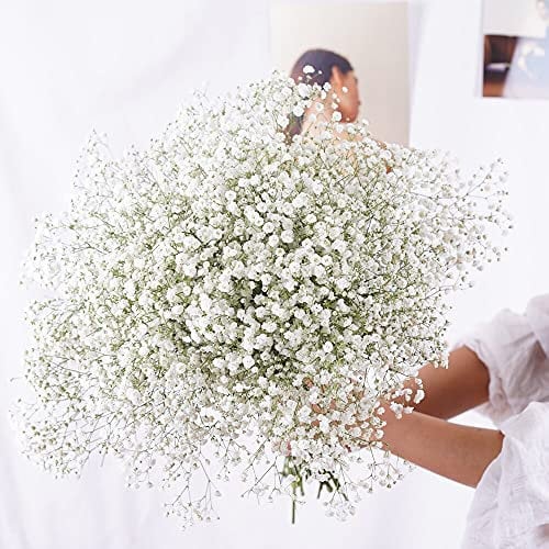YIWOYI Natürliche Trockenblume, Schleierkraut, frisch getrocknet, getrocknete Blumen, Blumensträuße für Hochzeit, Party, Heimdekoration, 15 - 30 cm, 20 g, Weiß