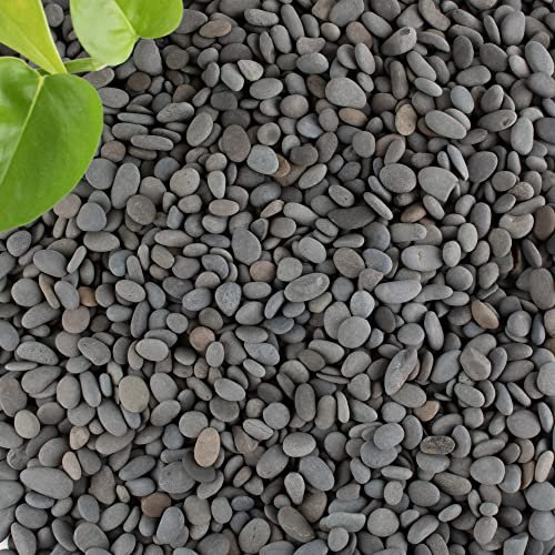 CJGQ – Galets de rivière de 8,2 kg pour plantes grasses, aménagement paysager décoratif extérieur, petits galets de plage mexicaine, gravier pour aquarium, vase, décoration de cour