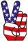 INDIGOS UG Auto Aufkleber American USA Flag Peace 152mmX76mm