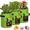 YRHome 3 Stück Pflanztasche Kartoffeln Pflanzen Tasche 10 Gallonen Pflanzsack Kartoffelsack Pflanzbeutel Vliesstoff Tomaten Pflanztopf mit Klettfenster Griffen für Blumen Kartoffeln Pflanzen Grün