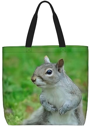 OPSREY Süße Eiscreme gedruckt wiederverwendbare große Kapazität Einkaufstasche Tote Handtasche Schulter Tote Tasche, Eichhörnchen, Einheitsgröße