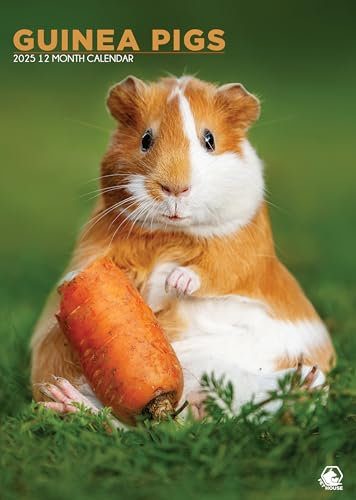 Meerschweinchen-Kalender 2025