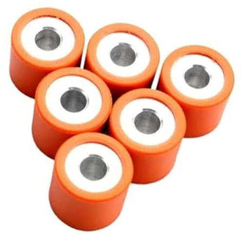 Szwaldaper 6-teiliges Variator-Rollengewicht 19 x 17 mm, 5 g, 7 g, 9 g, for 125 150 Fly Hexagon GTX Liberty MP3 X8 X9 Zip 125 cc 150 cc Zündschalter für Rasenmäher(Black 19 X 17mm 9g)