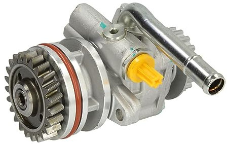 SPIDAN 54273 Hydraulikpumpe, Lenkung