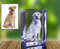A&B Crystal Collection Cadre photo 3D en cristal transparent - Motif animal - Style victorien - Pour adulte