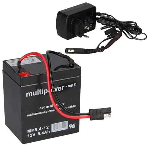 Multipower Blei Akku 12V 5,4Ah Mit Stecker + Ladegerät Für Raasenmäher Akkus - Langlebig - Wartungsfrei - Zuverlässig - Ersatzakku - Akku - Batterie