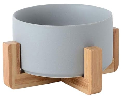 Gogogmee Adorable Anniversaire Ou Noël Pot De Fleurs Décoratif avec Support en Bois pour Cactus