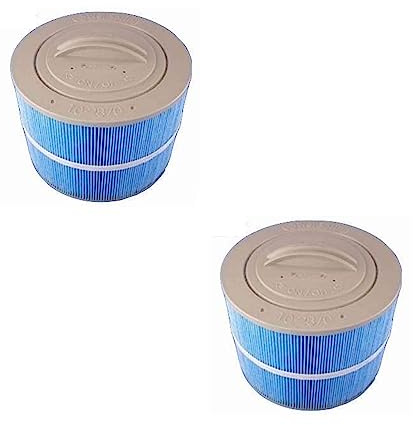 Villeroy & Boch 2 Stück Whirlpool Filter Kartuschenfilter Ersatzfilter bis BJ 2016