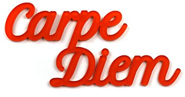 skulpo Acryltypo® 3D Wandtattoo - Carpe Diem - Wohnzimmer Wandspruch Acryl satiniert, Größe S Wandsticker Wandbild selbstklebend Wanddekoration Wandaufkleber Wanddeko